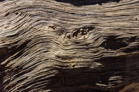 wood texture