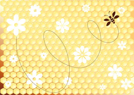 honeycomb and beeのイラスト素材