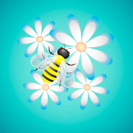Honey Bee  and Camomiles on Blue Background, vector illustrationのイラスト素材