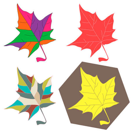 Maple leaves set - Vector illustrationのイラスト素材