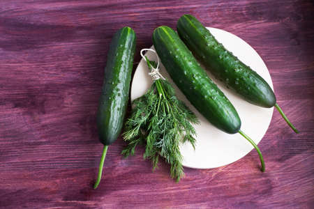 Bunch of dill and three fresh cucumbers on the light plateの写真素材