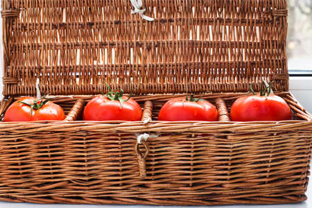 Four tomatoes with dew lying separately in wicker retro boxの写真素材