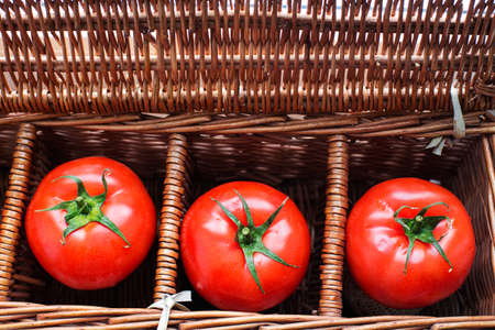 Three tomatoes with dew lying separately in wicker retro boxの写真素材