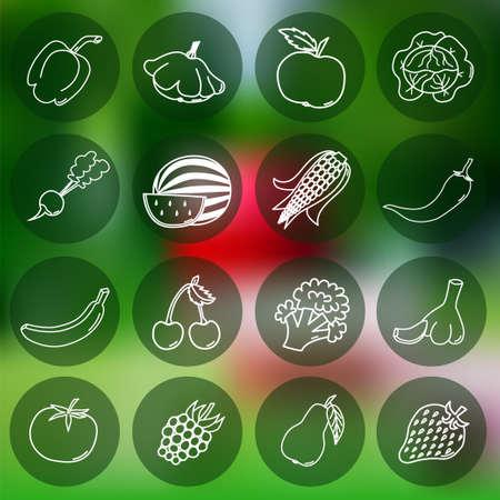 Thin line icons of different fruits and vegetables on mesh backgroundのイラスト素材