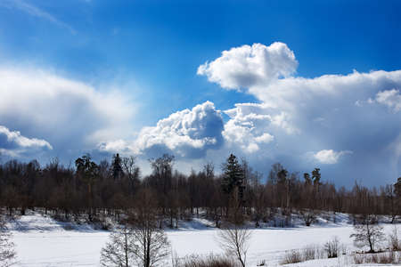 Rural winter landscape of forest, lake and skyの写真素材