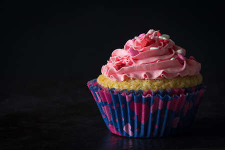 Single Vanilla Cupcake with Pink Buttercream Frosting and Heart Sprinkles with Dark Background