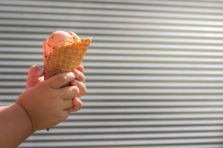 Chubby Hands Holding an Orange Chocolate Chip Ice Cream in Waffle Cone with Copy Space Horizontalの写真素材