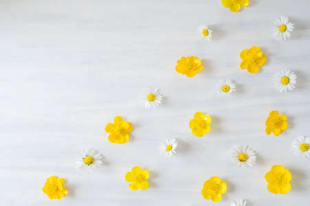 Flat Lay Pattern of Daisys and Buttercups on White Wooden Table with Copy Space