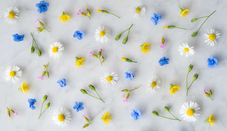 Beautiful Wildflowers Scattered on a Marble Background from Aboveの写真素材