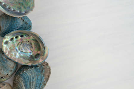 Collection of New Zealand Paua Abalone Shells from Above on White Wooden Background with Copy Spaceの写真素材