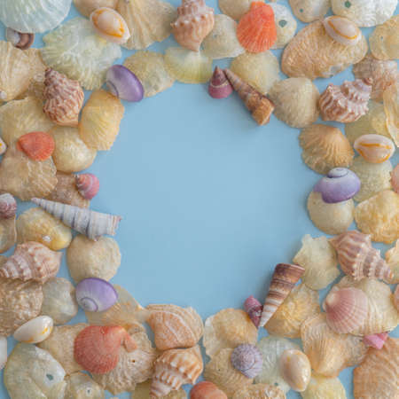 Border of Beautiful Coloured Seashells on a Blue Background with Copy Spaceの写真素材