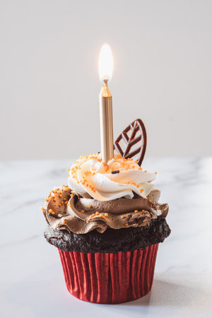 Gourmet Chocolate Birthday Cupcake with Candle Verticalの写真素材