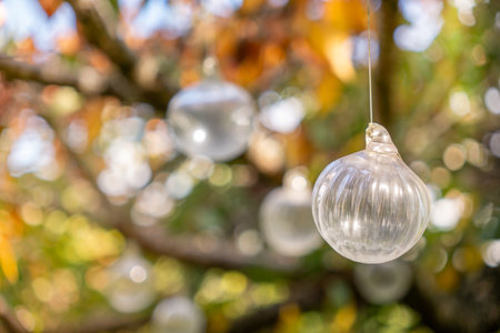 Glass Baubles Hanging on a Tree in Autumn with Selective Focusの写真素材