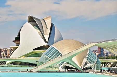 Sea star placed in the City of Arts and Sciences in Valencia, Spain.のeditorial素材