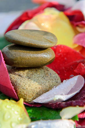Petals with water drops and stones, spa concept.の写真素材