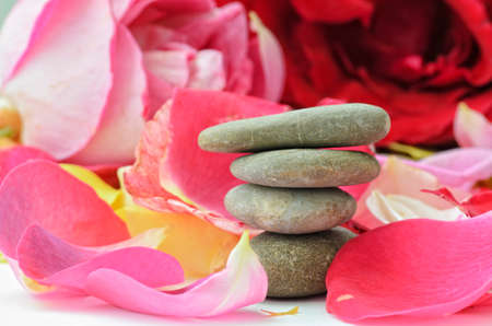 Stacked spa stones with rose petals and green nature.の写真素材