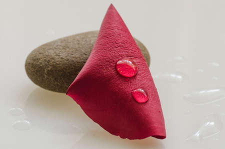 Red petal with water drops and a stone.の写真素材