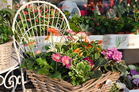 A fancy market with flowers in baskets and nice decorations.の写真素材