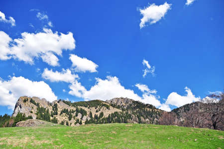Mountain landscape in springの写真素材