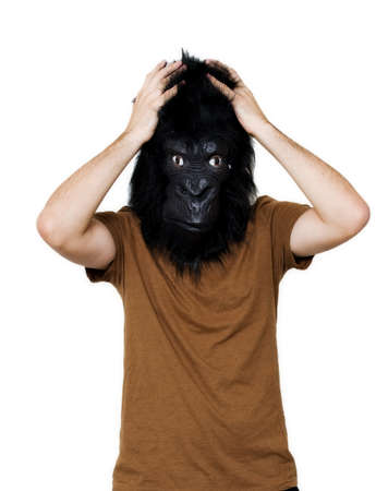 Gorilla manの写真素材