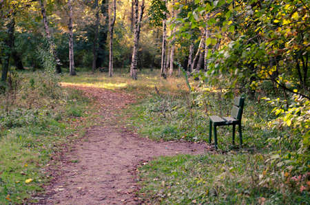 Autumn in parkの写真素材