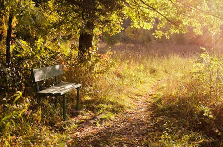 Autumn in parkの写真素材