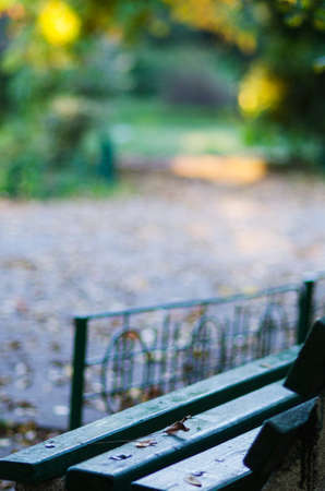 Autumn in parkの写真素材