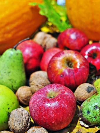 Still-life picture with autumn fruits.の写真素材