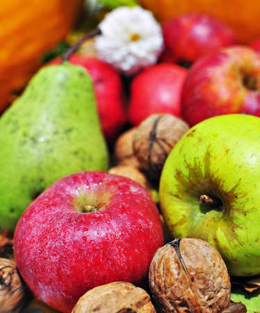 Still-life picture with autumn fruits.の写真素材