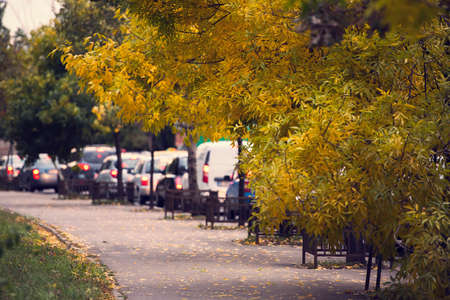 Street and traffic in an autumn dayの写真素材