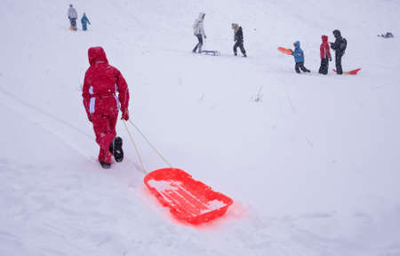 Bucharest, Romania â January 26, 2014: Children on the sledge playing in Tineretului Park in Bucharest, after massive snowingのeditorial素材