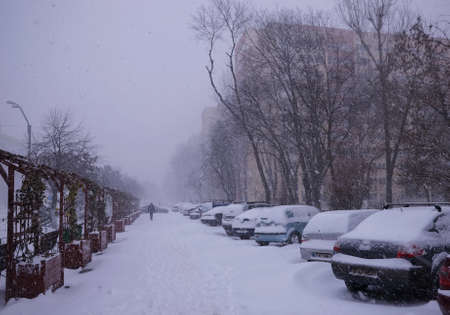 Heavy snow in a park in Bucharest.のeditorial素材