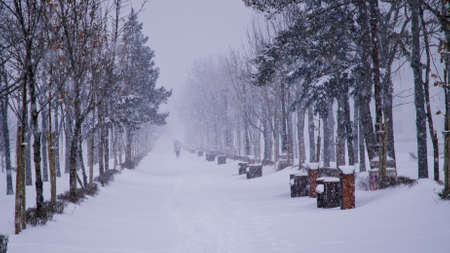 Heavy snow in a park in Bucharest.のeditorial素材