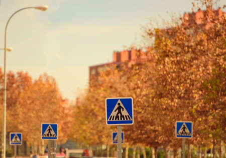 Crosswalk signs in urban areaの写真素材