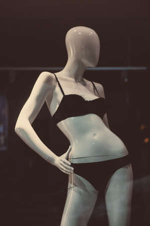 Women lingerieの写真素材