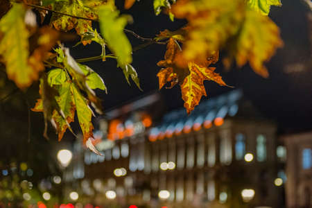 Autumn night in Bucharest city center