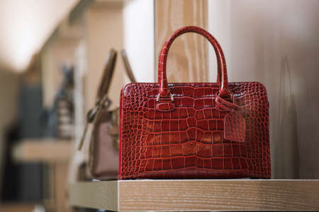 Women purse in a fashion storeの写真素材