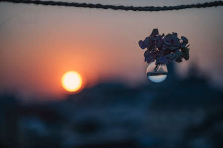 Light bulb filled with water at sunset - warm tones