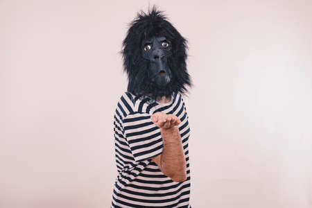 Gorilla manの写真素材