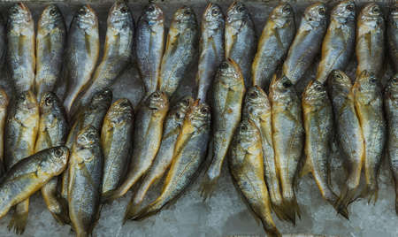 Seafood market in Asia