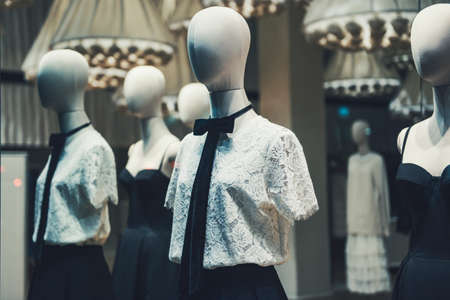 Elegant women clothing in a store showcaseの写真素材