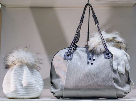 women luxury purseの写真素材