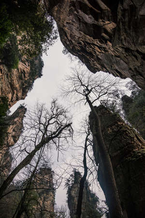 Zhangjiajie Landscape - Scenic and historic Areaの写真素材