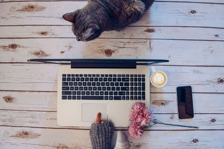 Girl with a cat working at home.の写真素材