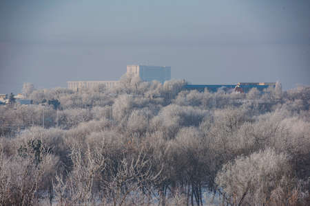 Bucharest in a winter dayの写真素材