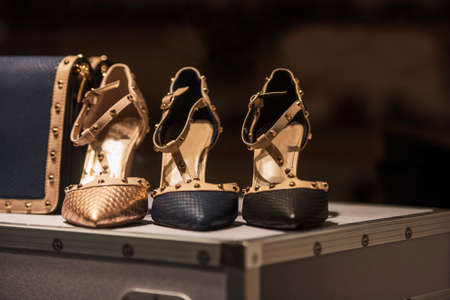 Women elegant and luxury shoesの写真素材