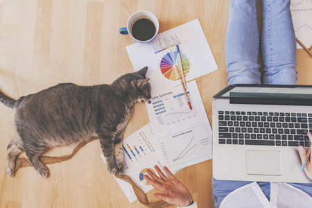 Working home concept - girl with smart phone, laptop and business reports.の写真素材