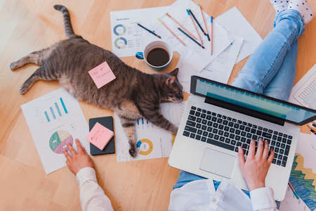 Working home concept - girl with smart phone, laptop and business reports.の写真素材