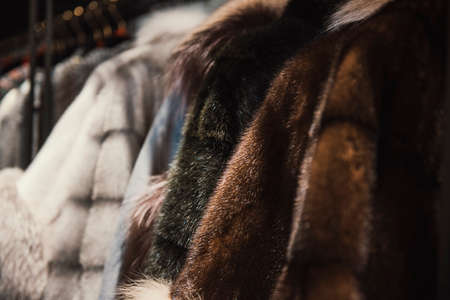 Women luxury furs in detailの写真素材