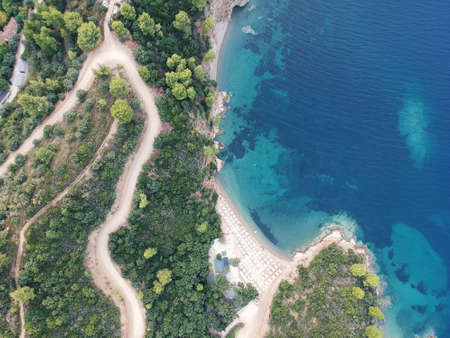 Aerial view of a beach with pines and bright water